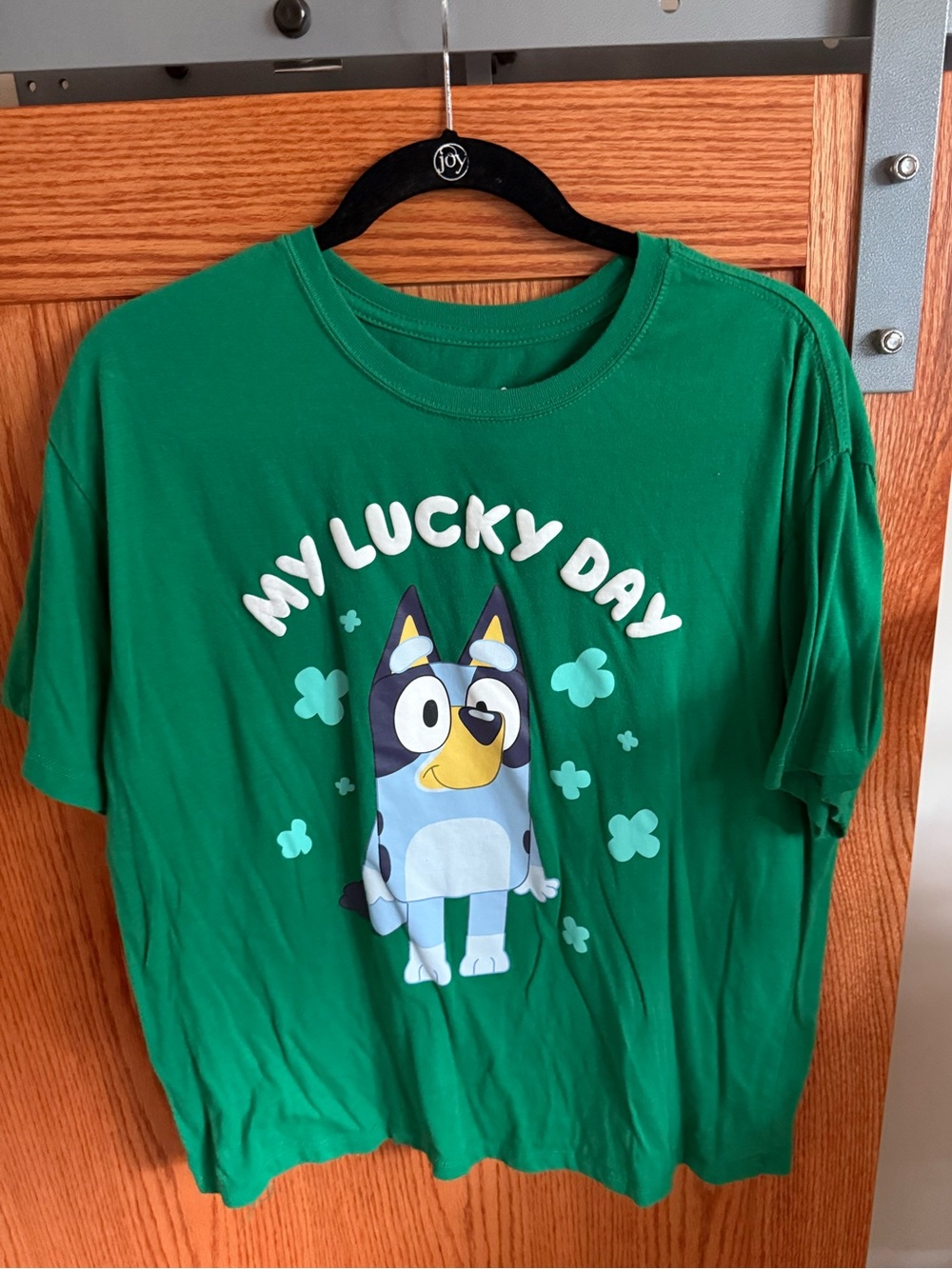 Green "My Lucky Day" Bluey T-Shirt